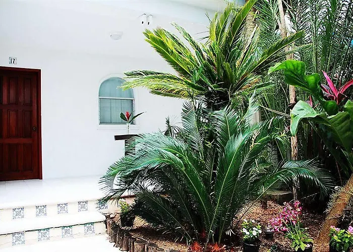 Tropical Casablanca Party Hotel