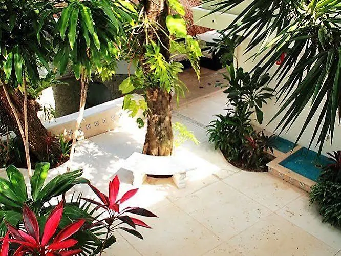 Tropical Casablanca Party Riviera Maya